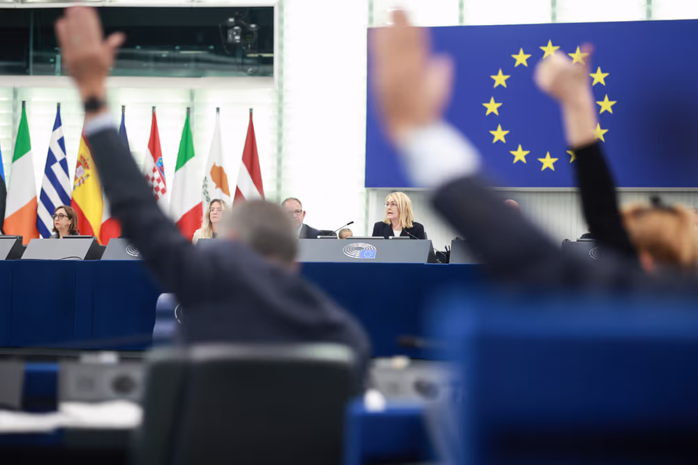 EP Plenary session - Voting session