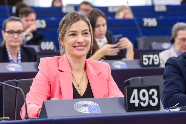 Nuotrauka 3: EP Plenary session - Voting session