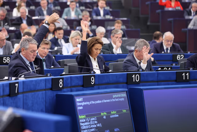 EP Plenary session - Voting session