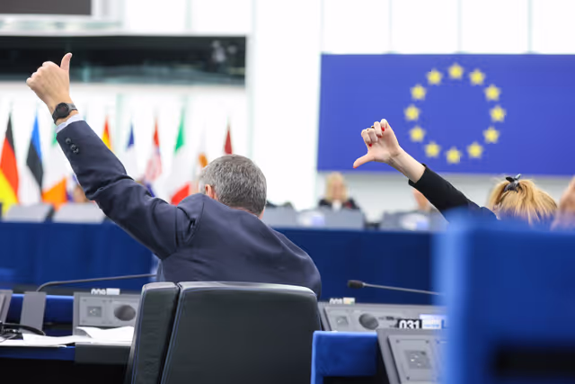 Nuotrauka 6: EP Plenary session - Voting session
