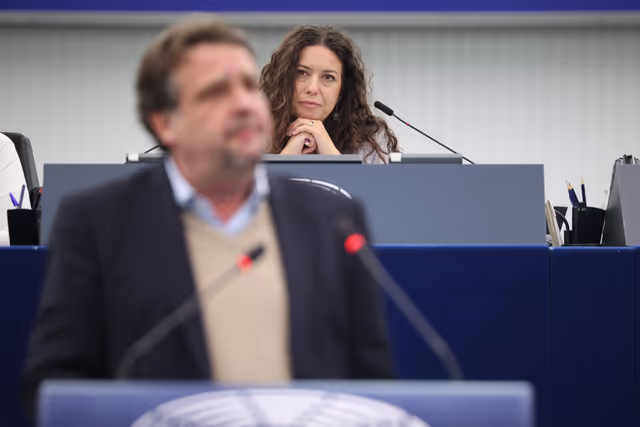 Zdjęcie 42: EP Plenary session - Establishment and functioning of European Works Councils