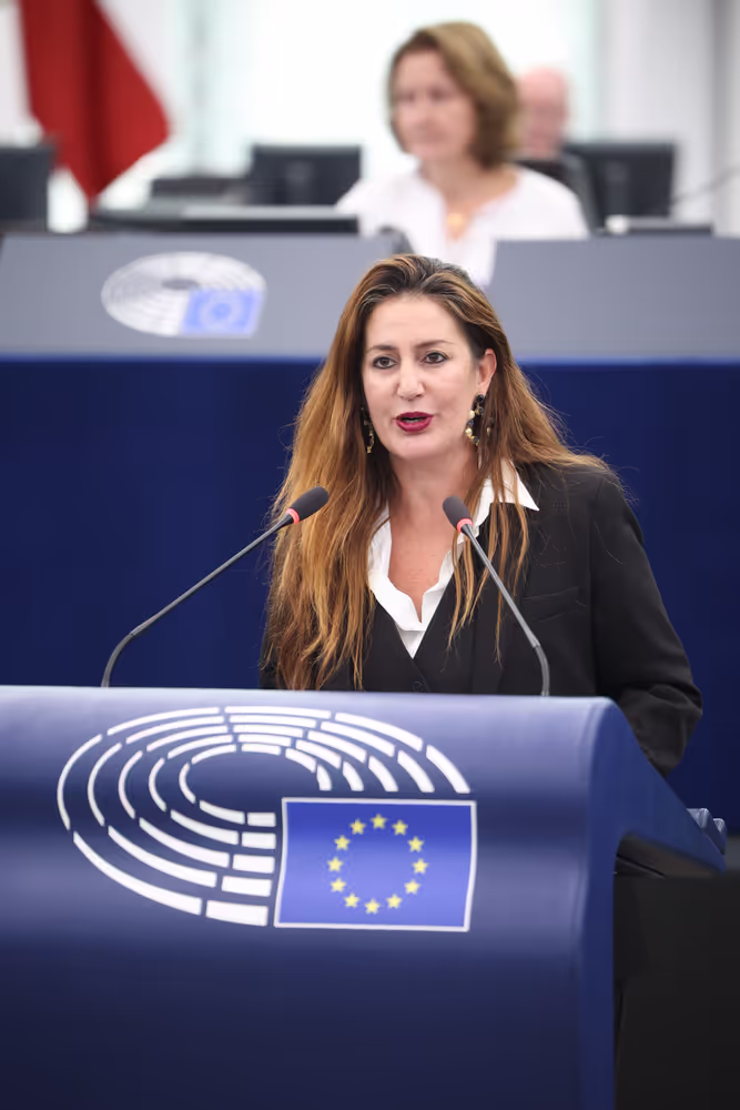 EP Plenary session - Establishment and functioning of European Works Councils