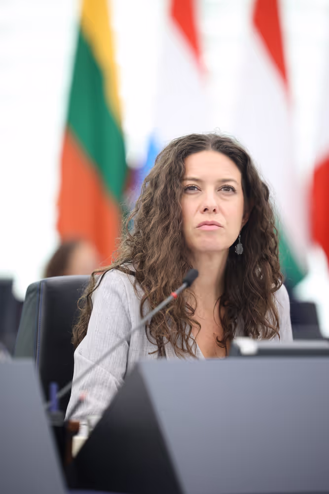 EP Plenary session - Establishment and functioning of European Works Councils