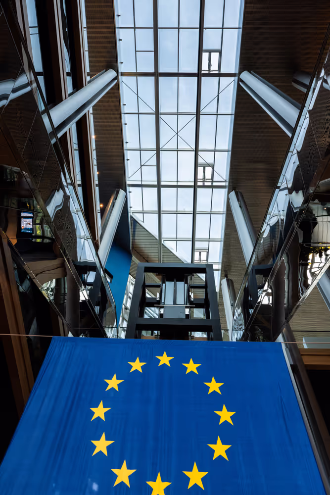 Strasbourg's Plenary session through the lens - Week 41