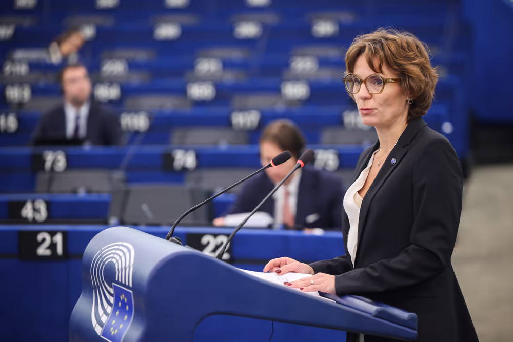 EP Plenary session - Declaration of principles for a gender-equal society