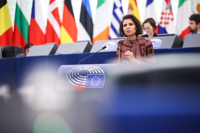 EP Plenary session - Declaration of principles for a gender-equal society