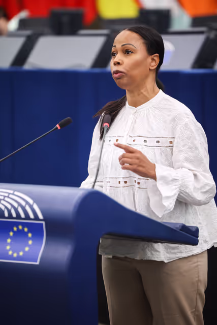 EP Plenary session - Declaration of principles for a gender-equal society