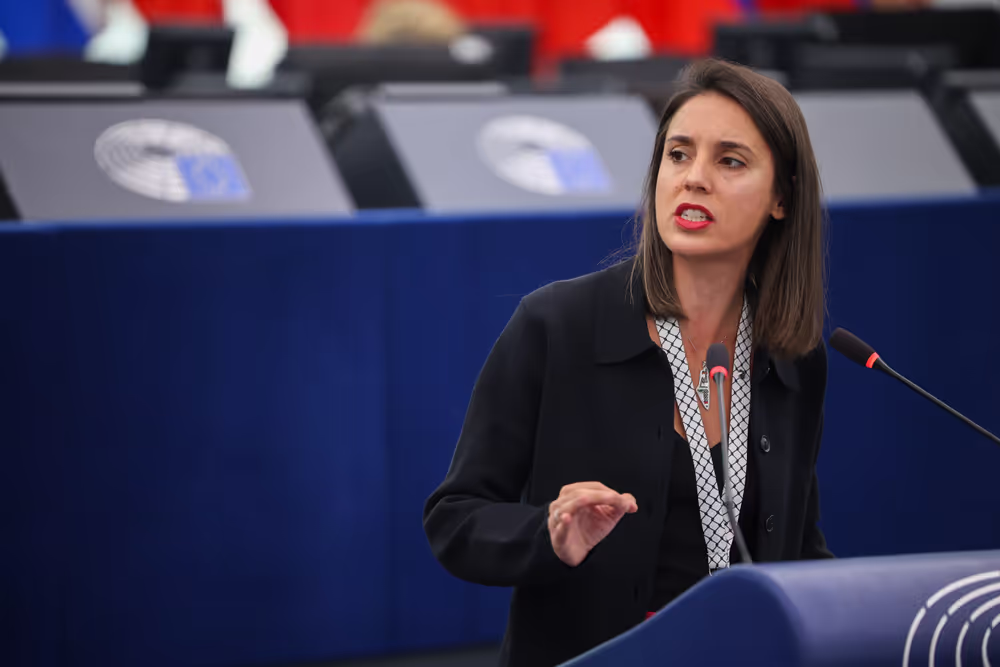 EP Plenary session - Declaration of principles for a gender-equal society