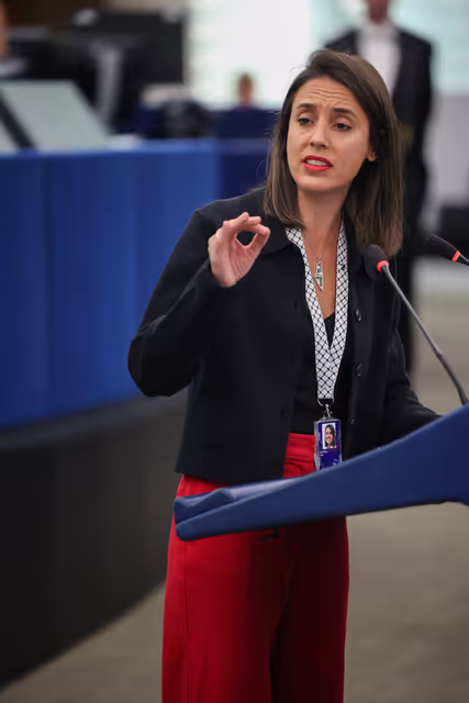 Zdjęcie 26: EP Plenary session - Declaration of principles for a gender-equal society