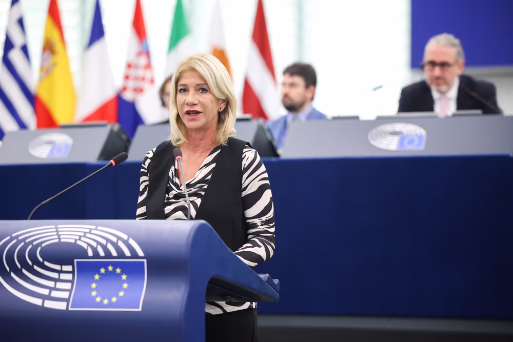 EP Plenary session - Declaration of principles for a gender-equal society