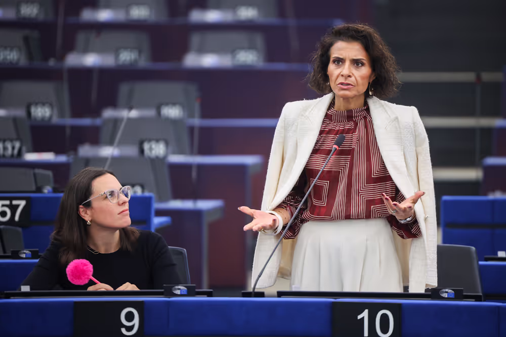 EP Plenary session - Declaration of principles for a gender-equal society