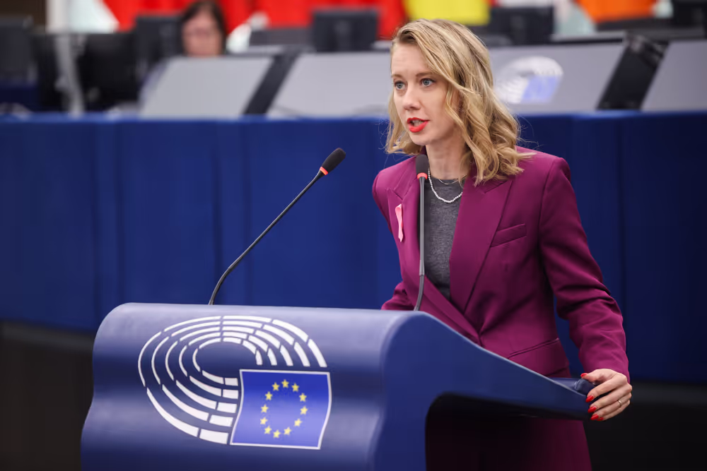 EP Plenary session - Declaration of principles for a gender-equal society