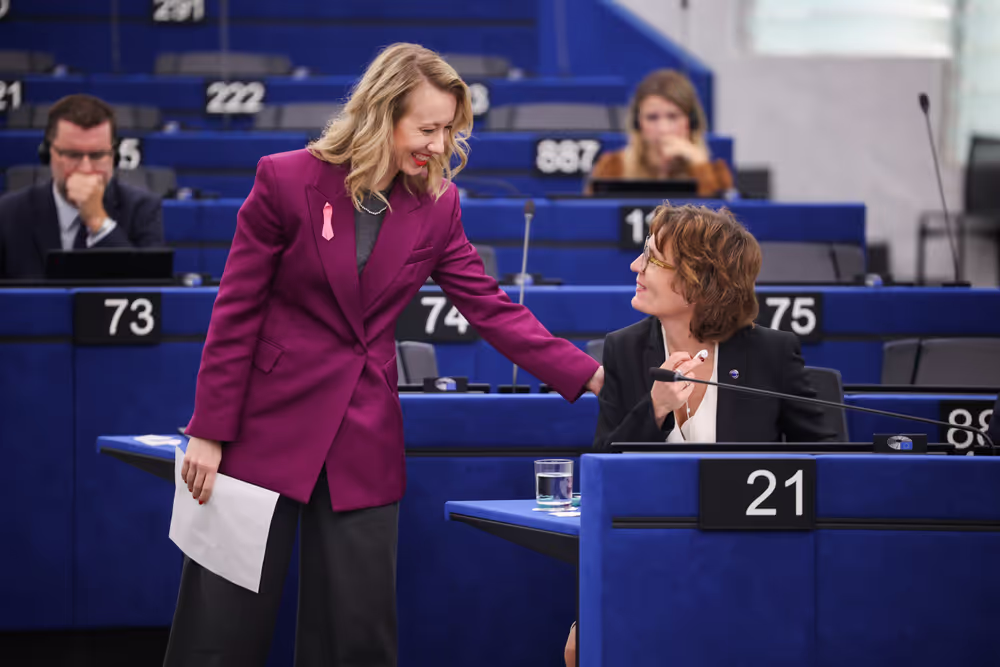 EP Plenary session - Declaration of principles for a gender-equal society