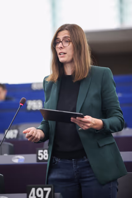 Zdjęcie 1: EP Plenary session - Declaration of principles for a gender-equal society