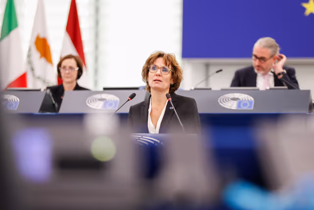 EP Plenary session - Deliberations of the Committee on Petitions in 2024