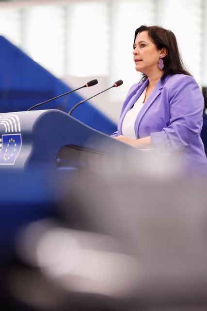 Foto 19: EP Plenary session - Deliberations of the Committee on Petitions in 2024