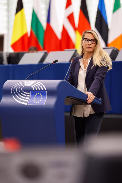 EP Plenary session - Deliberations of the Committee on Petitions in 2024