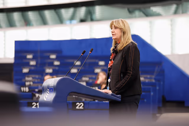Foto 8: EP Plenary session - Deliberations of the Committee on Petitions in 2024