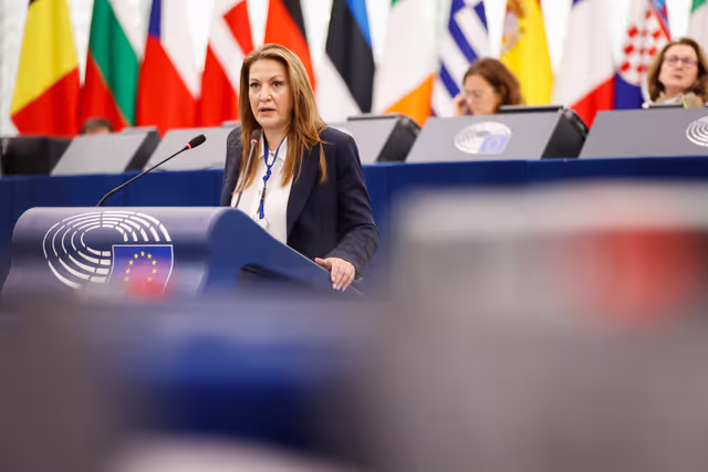 Foto 6: EP Plenary session - Deliberations of the Committee on Petitions in 2024