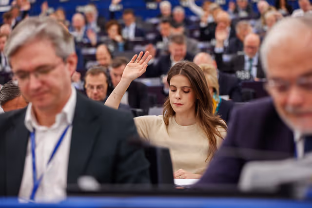 Photo 18: EP Plenary session - Voting session
