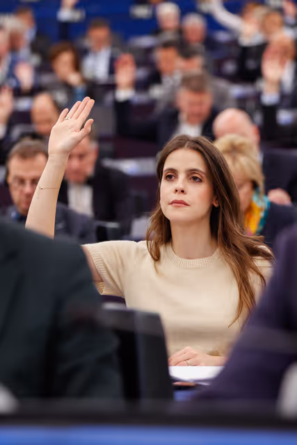 Photo 19: EP Plenary session - Voting session
