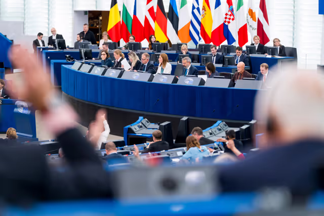 Photo 16: EP Plenary session - Voting session