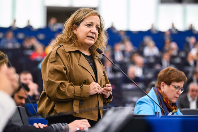 EP Plenary session - Voting session