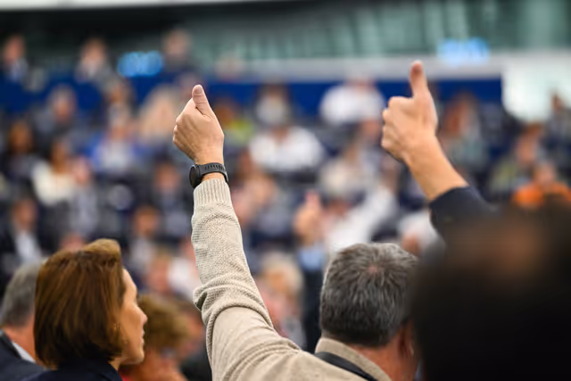 Photo 14: EP Plenary session - Voting session