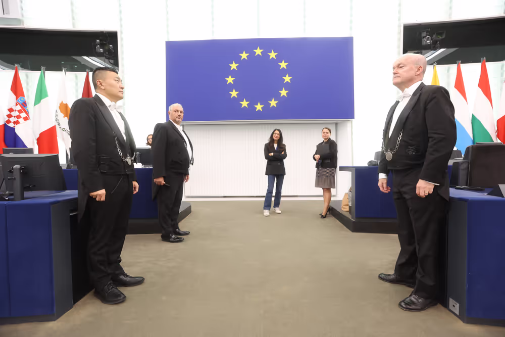 EP Plenary session - Public health risks in a Europe affected by global warming: tackling the spread of mosquito- and tick-borne diseases