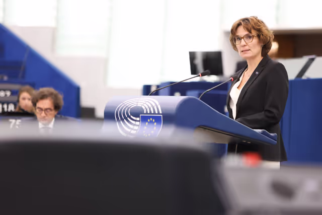 Foto 23: EP Plenary session - Public health risks in a Europe affected by global warming: tackling the spread of mosquito- and tick-borne diseases