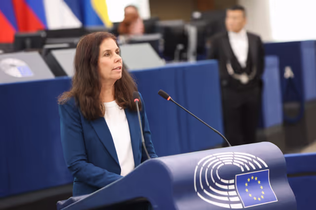 Foto 13: EP Plenary session - Public health risks in a Europe affected by global warming: tackling the spread of mosquito- and tick-borne diseases