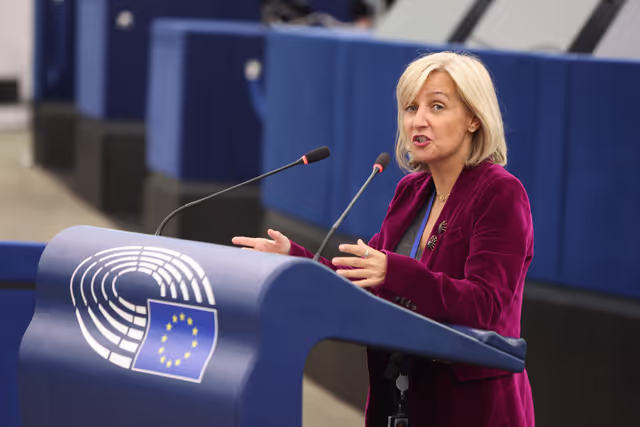 Foto 12: EP Plenary session - Public health risks in a Europe affected by global warming: tackling the spread of mosquito- and tick-borne diseases