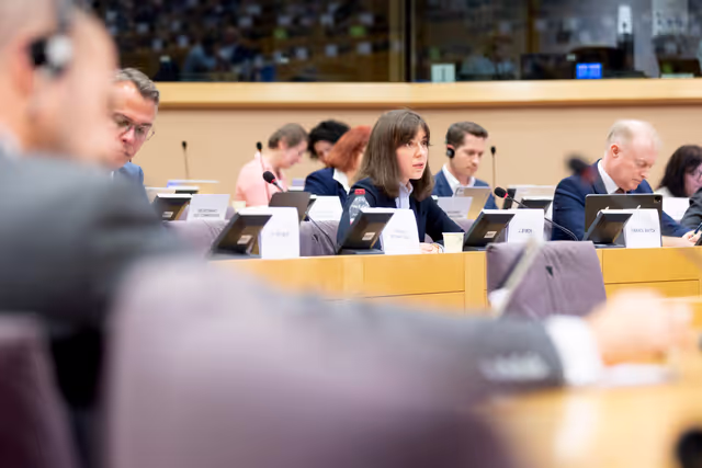 Photo 5: ECON - Public Hearing on the Review of the Securitisation Framework