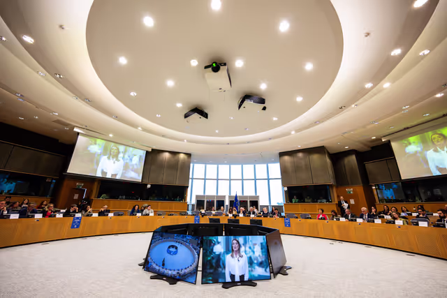 Billede 25: LIBE - 40th anniversary of Schengen