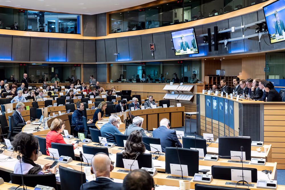 AFET DEVE - Public hearing on Global Gateway: Past impacts and future orientation