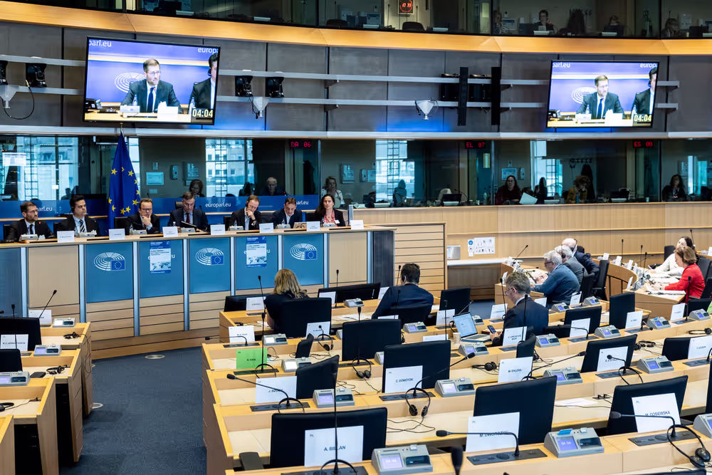 AFET DEVE - Public hearing on Global Gateway: Past impacts and future orientation