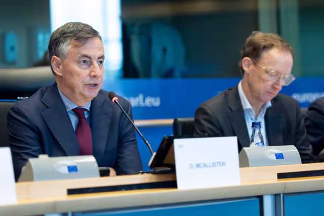 Fotografie 44: AFET DEVE - Public hearing on Global Gateway: Past impacts and future orientation