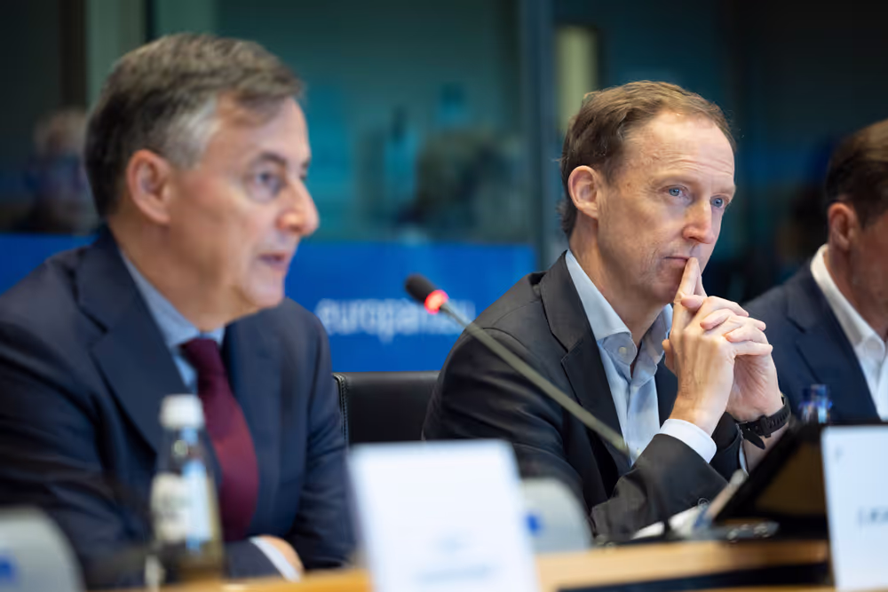 AFET DEVE - Public hearing on Global Gateway: Past impacts and future orientation