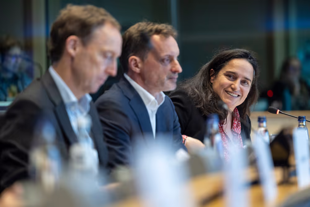 AFET DEVE - Public hearing on Global Gateway: Past impacts and future orientation