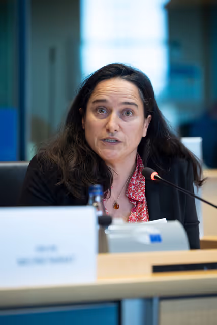 Fotografie 25: AFET DEVE - Public hearing on Global Gateway: Past impacts and future orientation