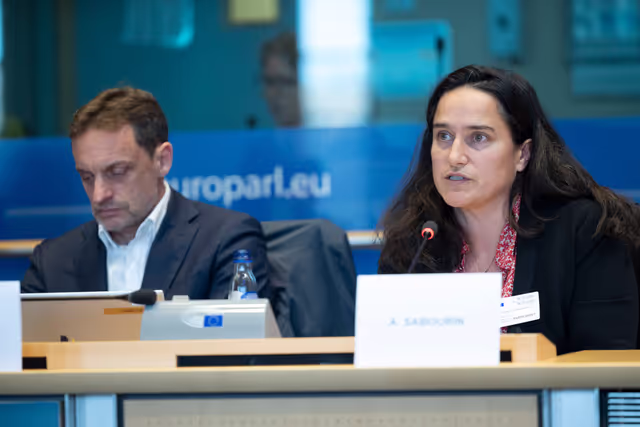 Fotografie 21: AFET DEVE - Public hearing on Global Gateway: Past impacts and future orientation