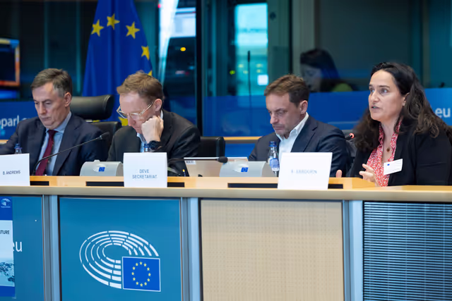 Fotografie 22: AFET DEVE - Public hearing on Global Gateway: Past impacts and future orientation