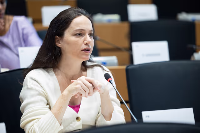 Fotografie 19: AFET DEVE - Public hearing on Global Gateway: Past impacts and future orientation