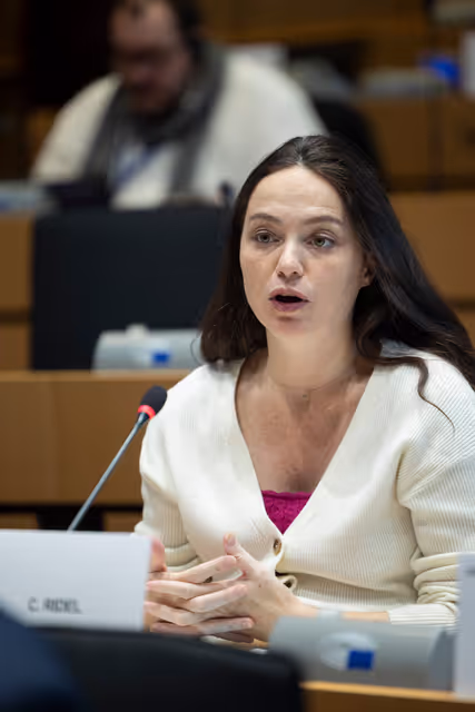 Fotografie 18: AFET DEVE - Public hearing on Global Gateway: Past impacts and future orientation