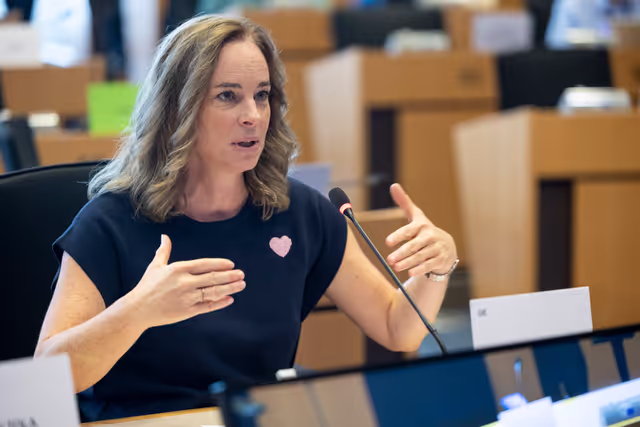 Fotografie 17: AFET DEVE - Public hearing on Global Gateway: Past impacts and future orientation