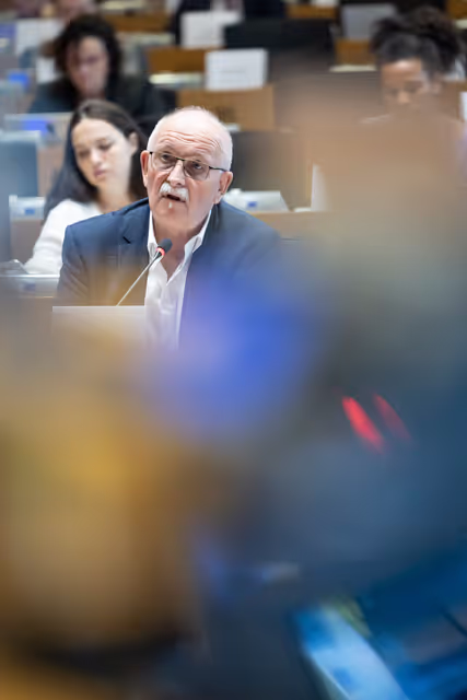 Fotografie 14: AFET DEVE - Public hearing on Global Gateway: Past impacts and future orientation