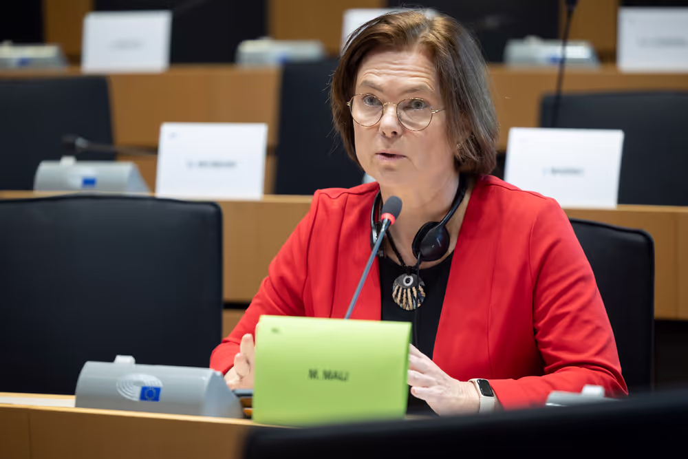 AFET DEVE - Public hearing on Global Gateway: Past impacts and future orientation