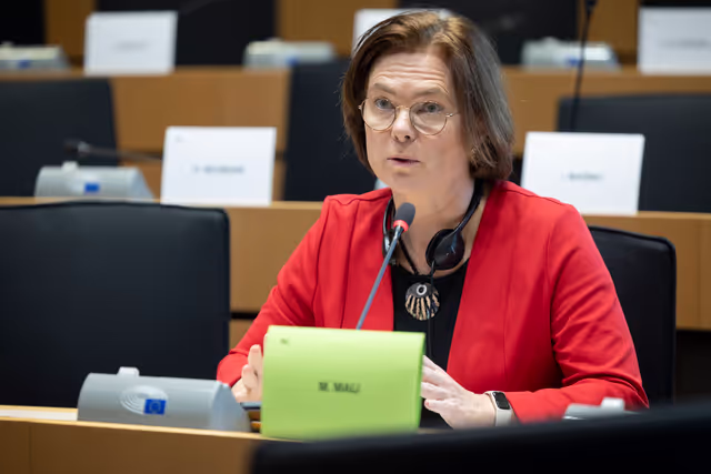 Fotografie 9: AFET DEVE - Public hearing on Global Gateway: Past impacts and future orientation