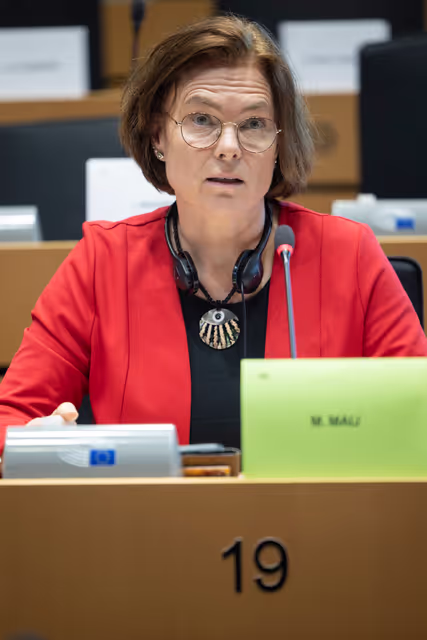 Fotografie 8: AFET DEVE - Public hearing on Global Gateway: Past impacts and future orientation