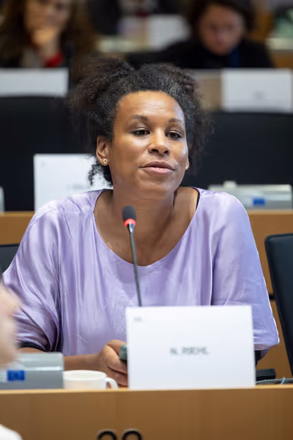 Fotografie 5: AFET DEVE - Public hearing on Global Gateway: Past impacts and future orientation